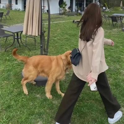 不幸之家